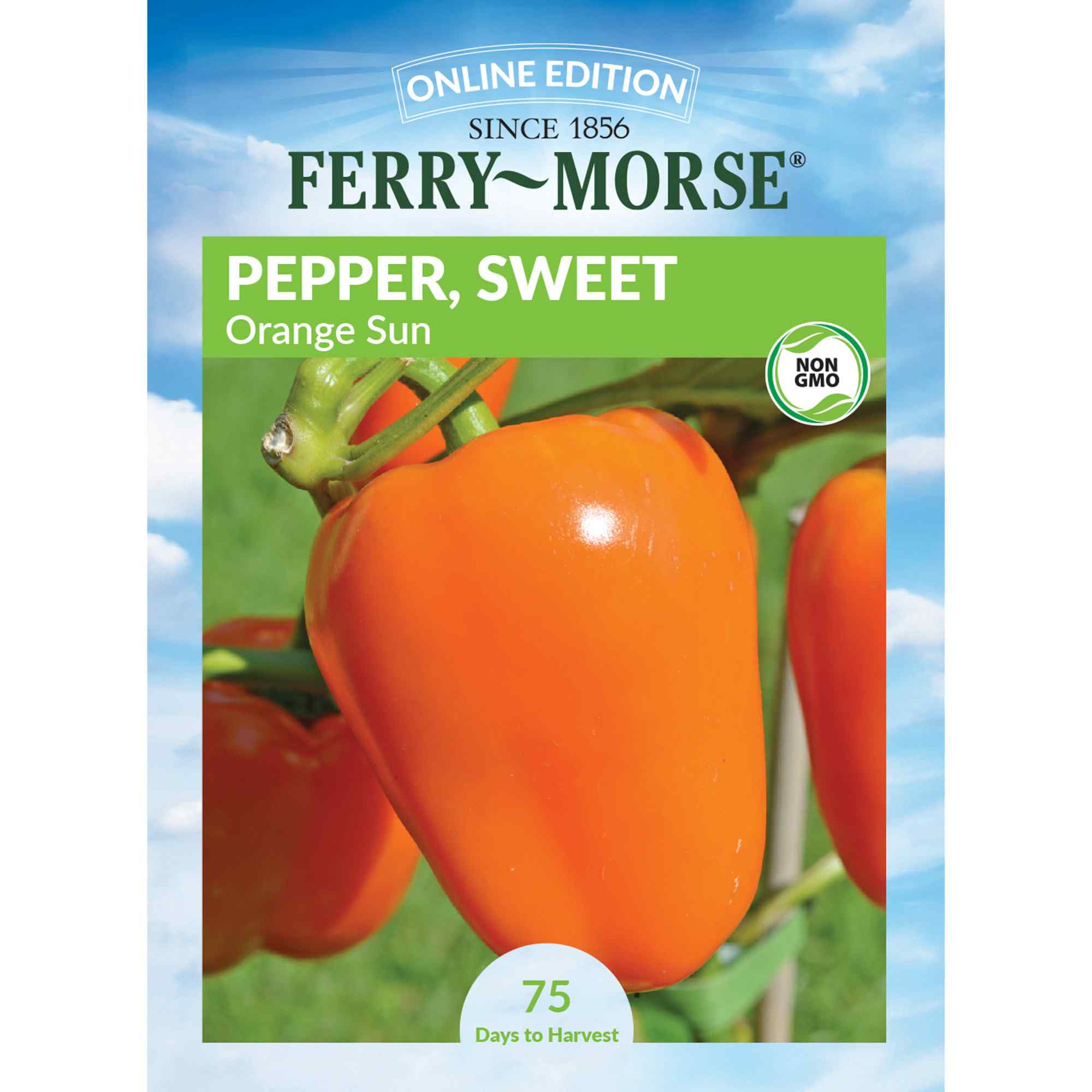 Ferry-Morse pepper orange sun seed packet